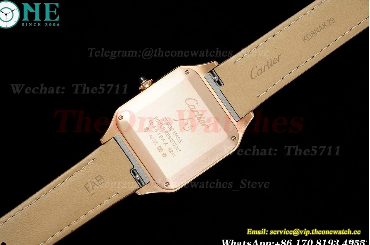 Dumont Dial Silver Brown Santos Quartz LE RG AF Dia 0313